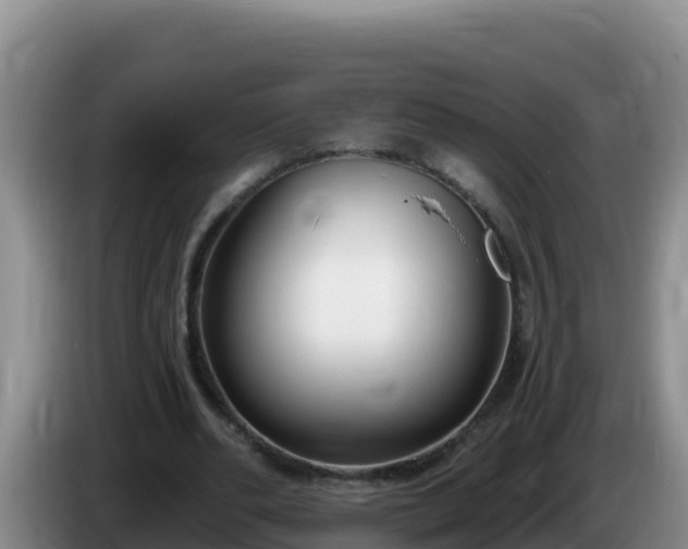 X0000086250486200704051244