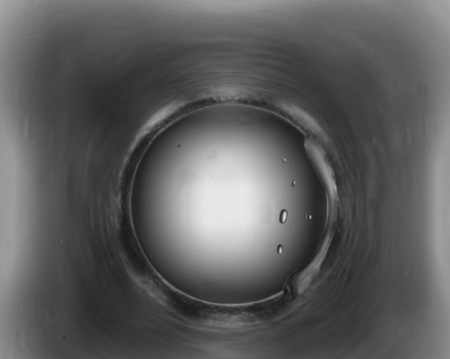 X0000086250488200704051244