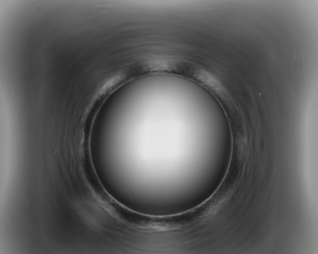 X0000086250490200704051244