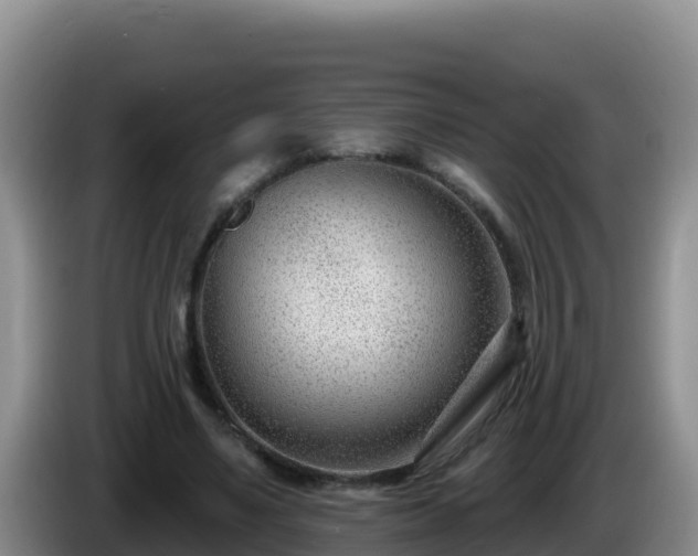 X0000086250491200704051244