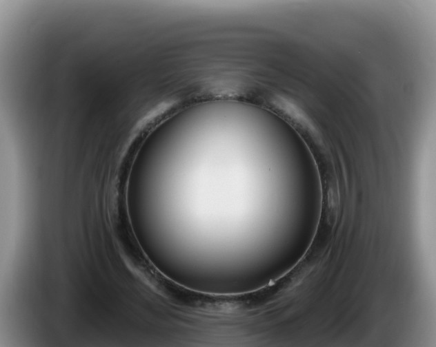 X0000086250492200704051244
