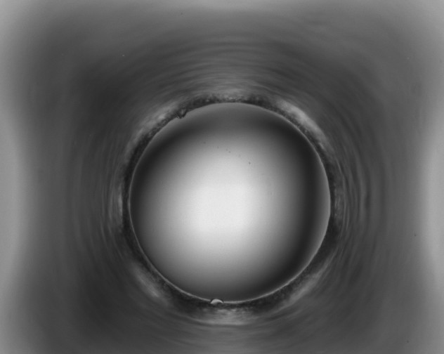 X0000086250493200704051244