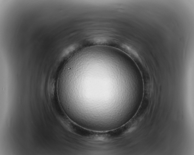 X0000086250495200704051244