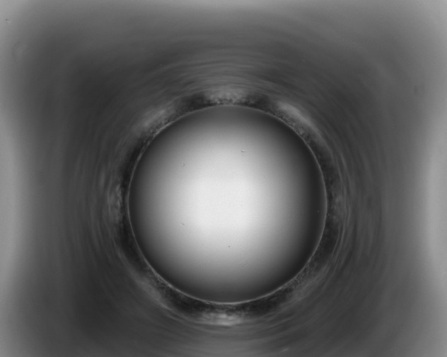 X0000086250498200704051244