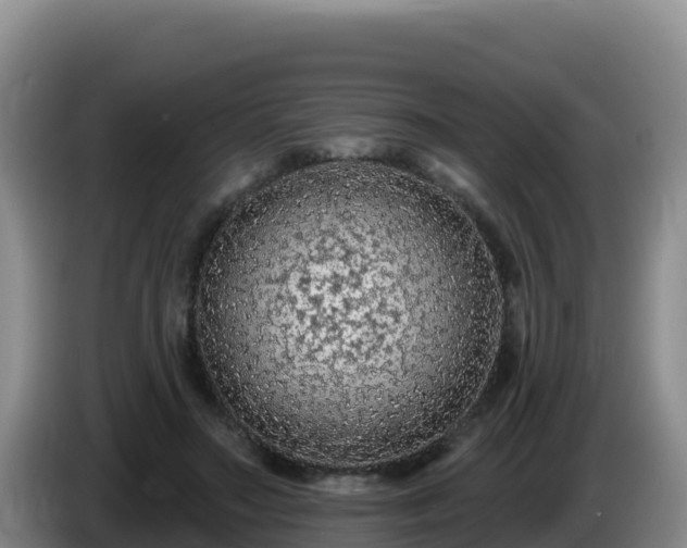 X0000086250499200704051244