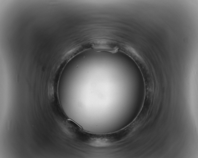 X0000086250500200704051244