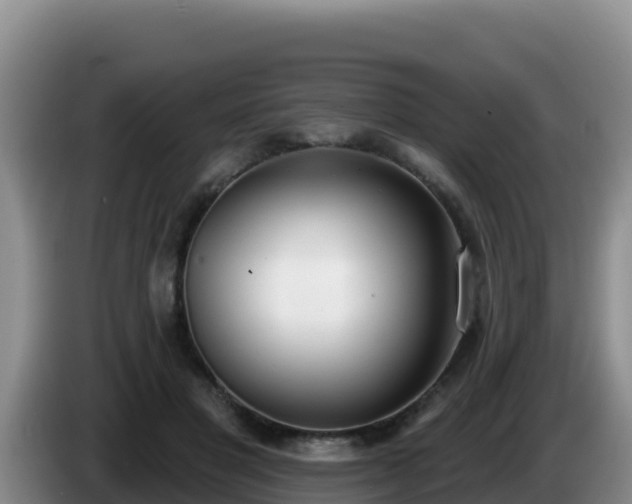 X0000086250501200704051244