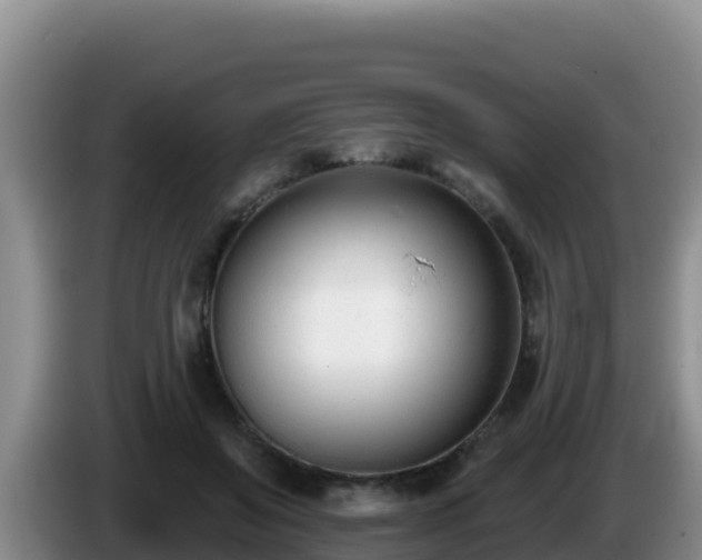 X0000086250503200704051244