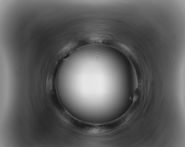 X0000086250504200704051244