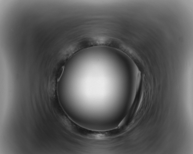 X0000086250509200704051244