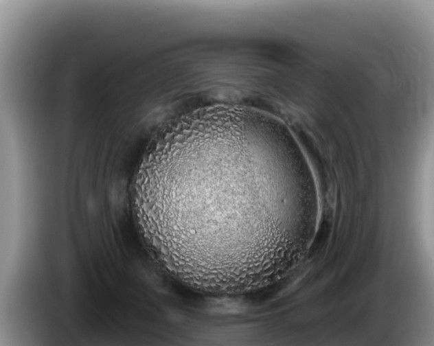 X0000086250511200704051244