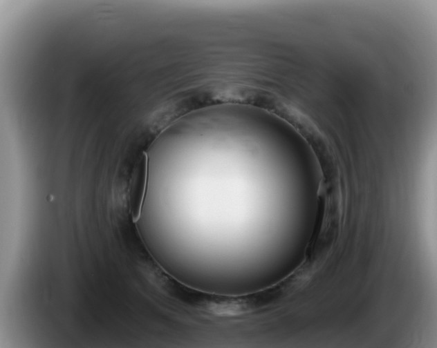 X0000086250513200704051244