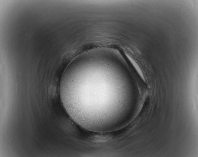 X0000086250515200704051244