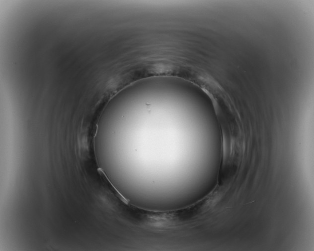 X0000086250516200704051244