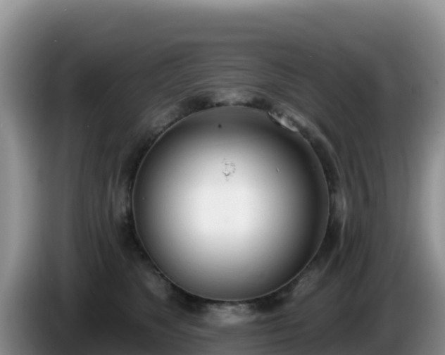 X0000086250517200704051244