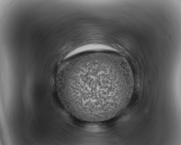 X0000086250523200704051243