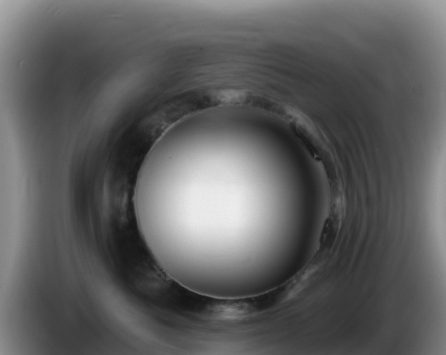 X0000086250525200704051243