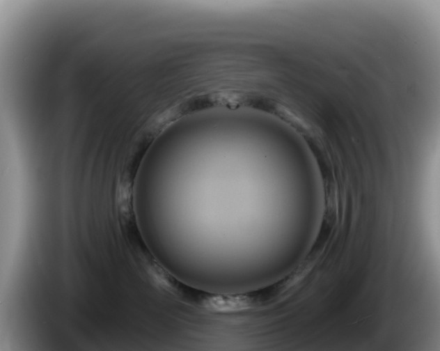 X0000086250526200704051243