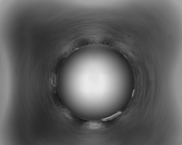 X0000086250528200704051243