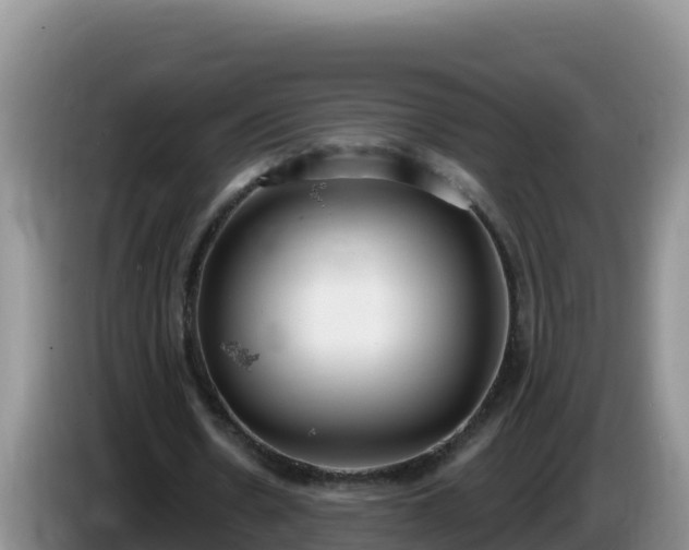 X0000086250530200704051243
