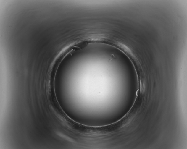 X0000086250531200704051243