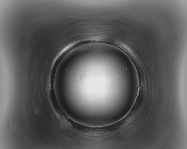 X0000086250532200704051243