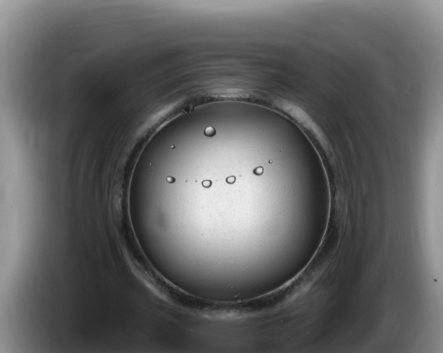 X0000086250533200704051243