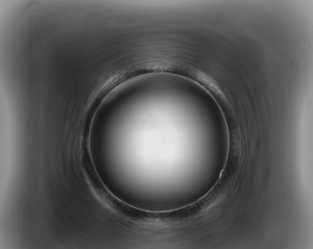 X0000086250538200704051243