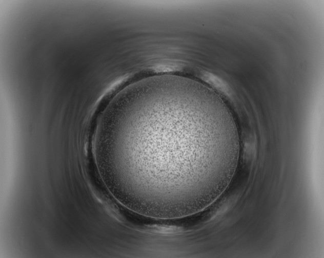 X0000086250539200704051243