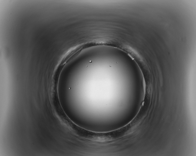 X0000086250540200704051243