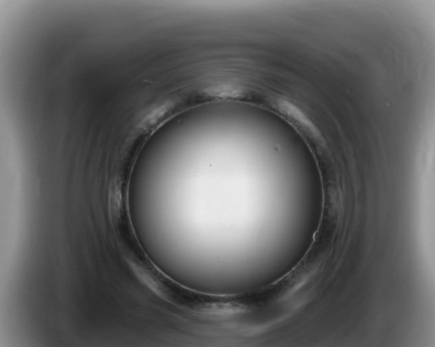 X0000086250541200704051243