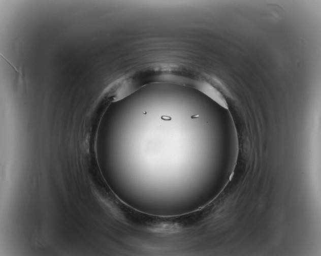 X0000086250543200704051243