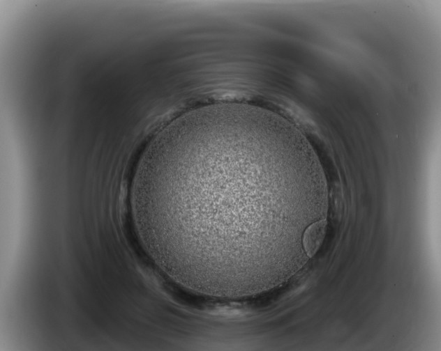 X0000086250550200704051243