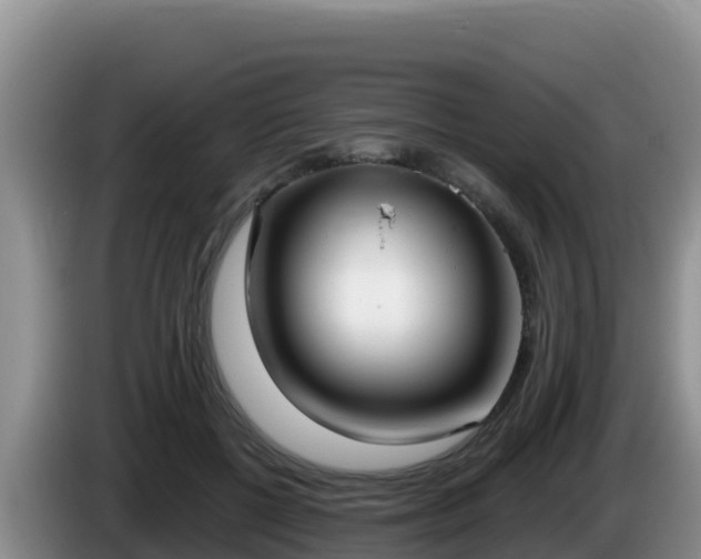 X0000086250552200704051243
