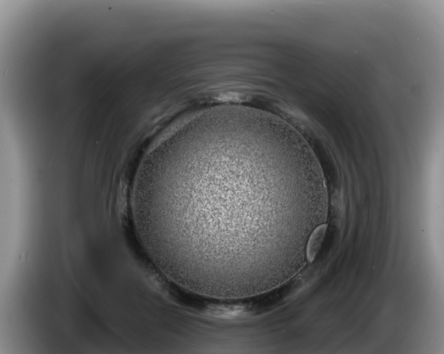 X0000086250554200704051243