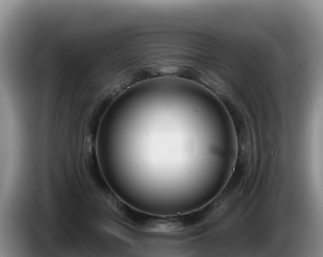 X0000086250555200704051243