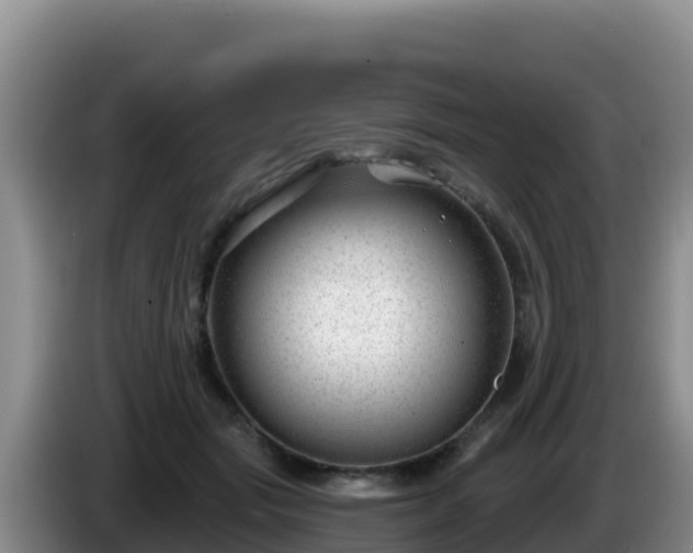 X0000086250557200704051243