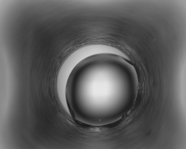 X0000086250558200704051243