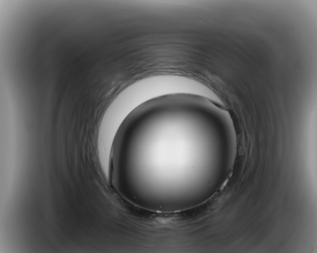 X0000086250560200704051243