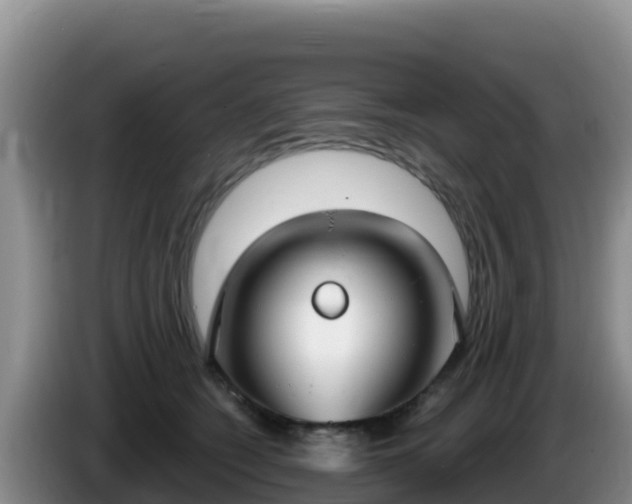 X0000086250562200704051243