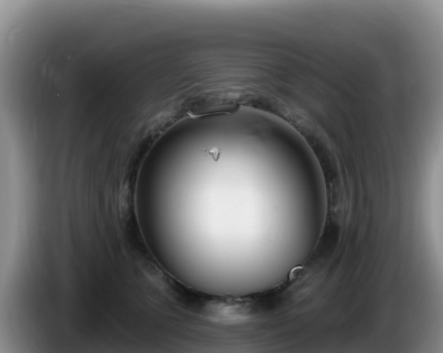X0000086250563200704051243