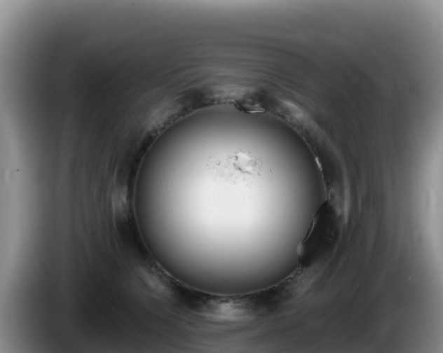 X0000086250564200704051243