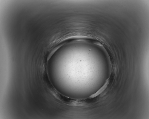X0000086250568200704051243
