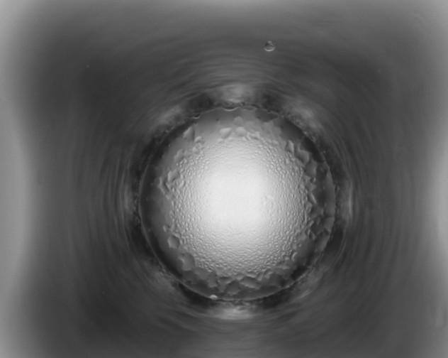 X0000086250569200704051243