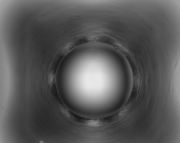 X0000086250574200704051243