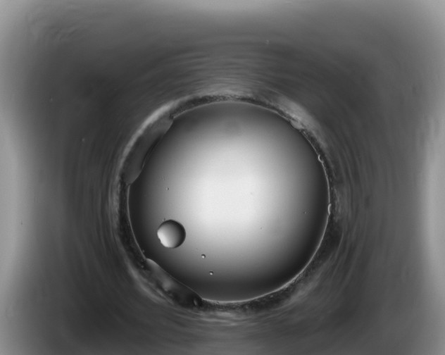X0000086250580200704051243