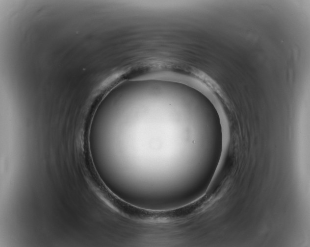X0000086250581200704051243