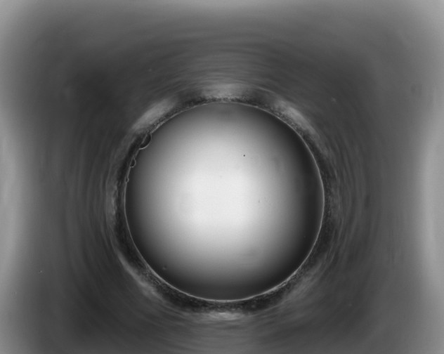 X0000086250586200704051243
