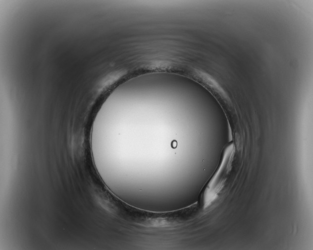 X0000086250588200704051243