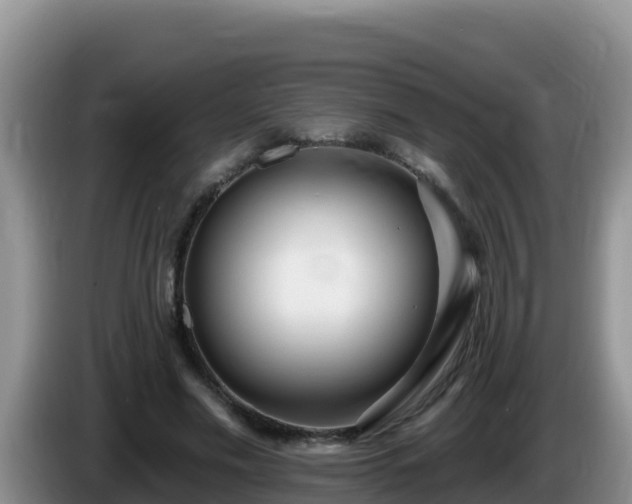 X0000086250589200704051243